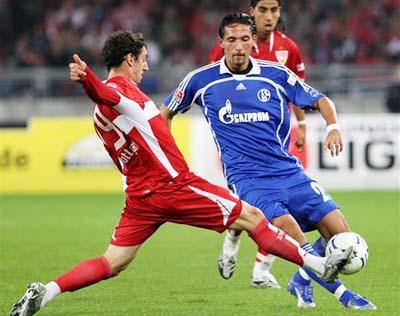 态的全面 态的全面